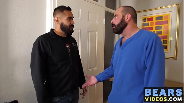 Hairy bear and his bottom cub loves has wild ass fuck fest