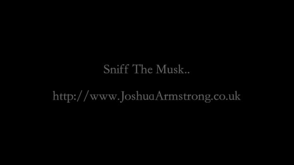Sniff The Musk