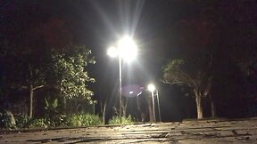 Walking nights at the park