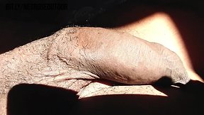 Taking in the sun and being spied on by the neighbour