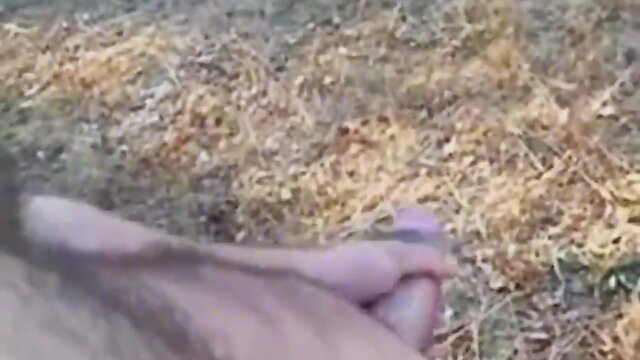 Rod spunkel solo penis