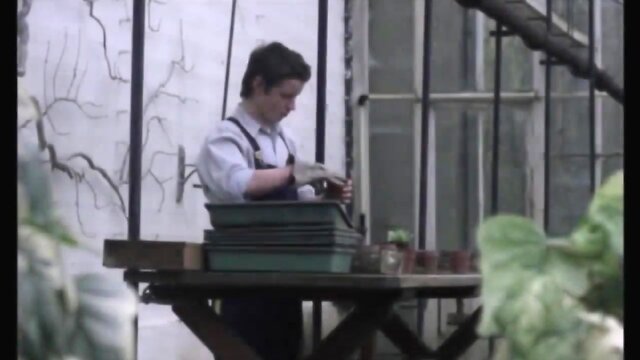 Male sex scenes from regular movies 6