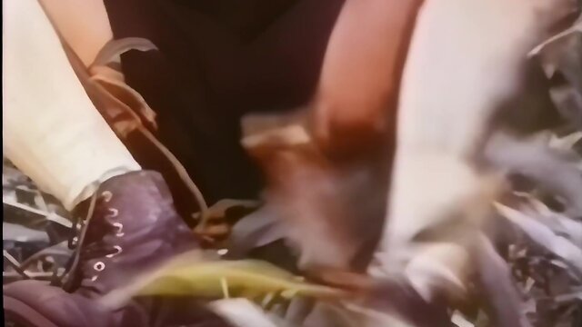 Sizzling college threesome: hot anal action with bisexual boys and a hung daddy bigcock fisting bareback gaysex hardcore boyfriend