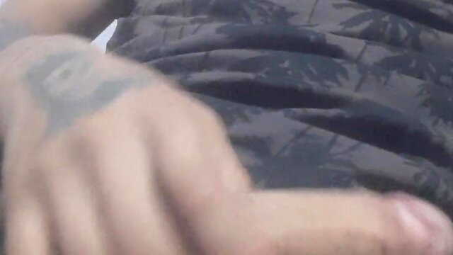 Take a look and enjoy it!